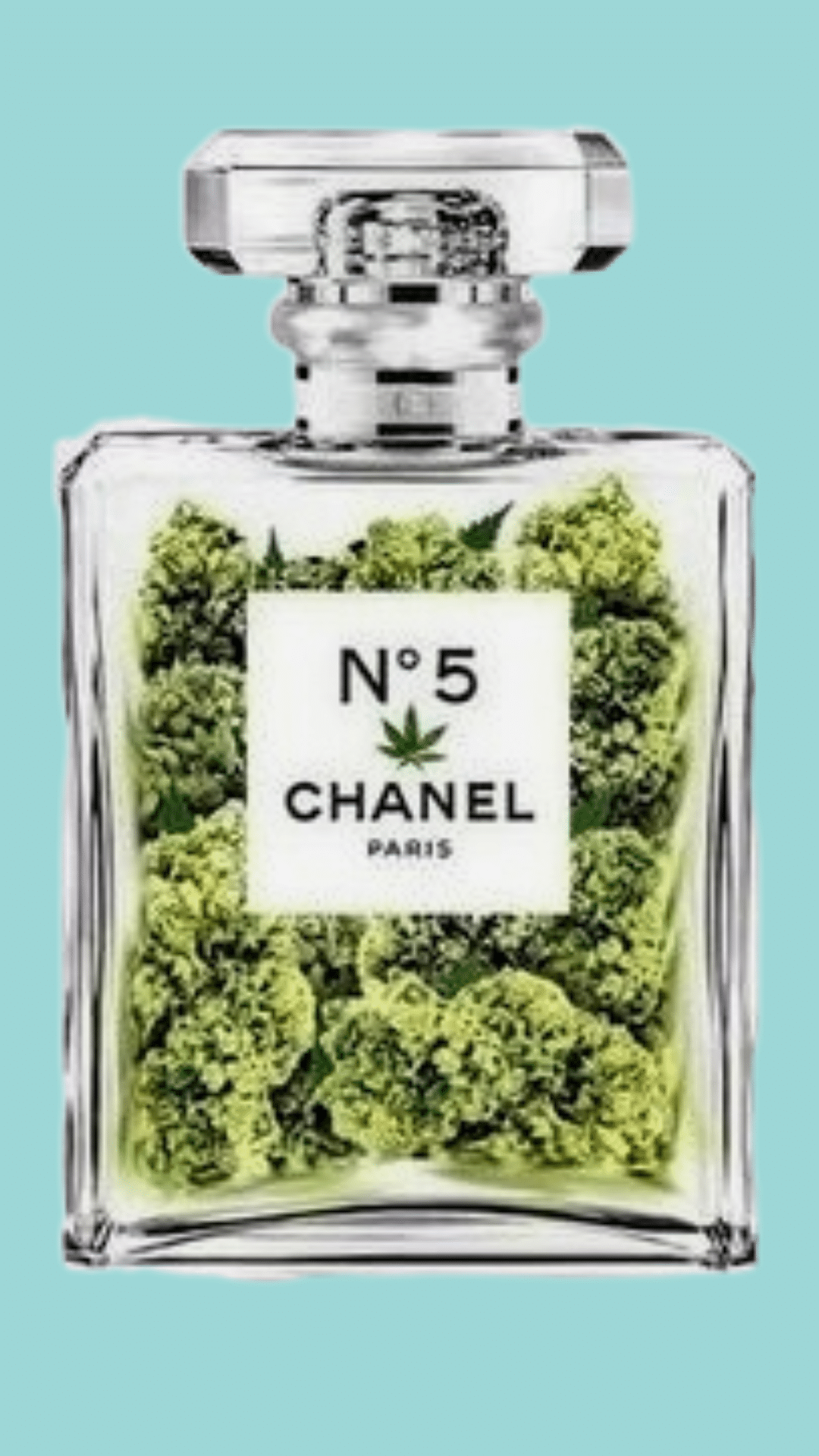 Terpenes: Effects in Medical Marijuana