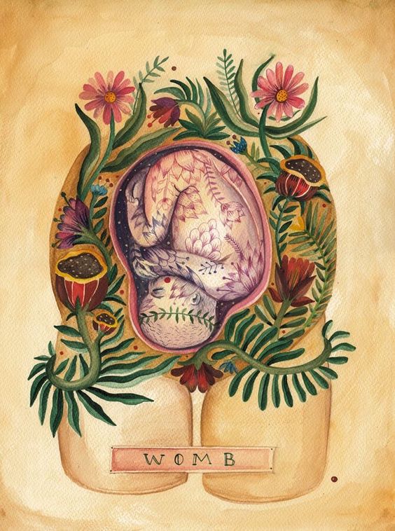 Cannabis & Pregnancy