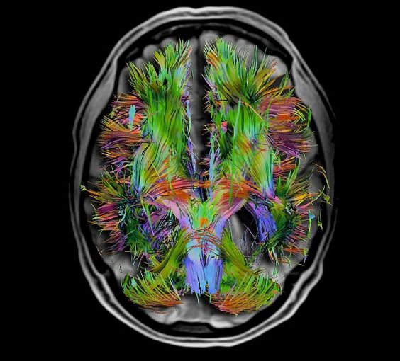 The Future of Treating PTSD with Cannabis