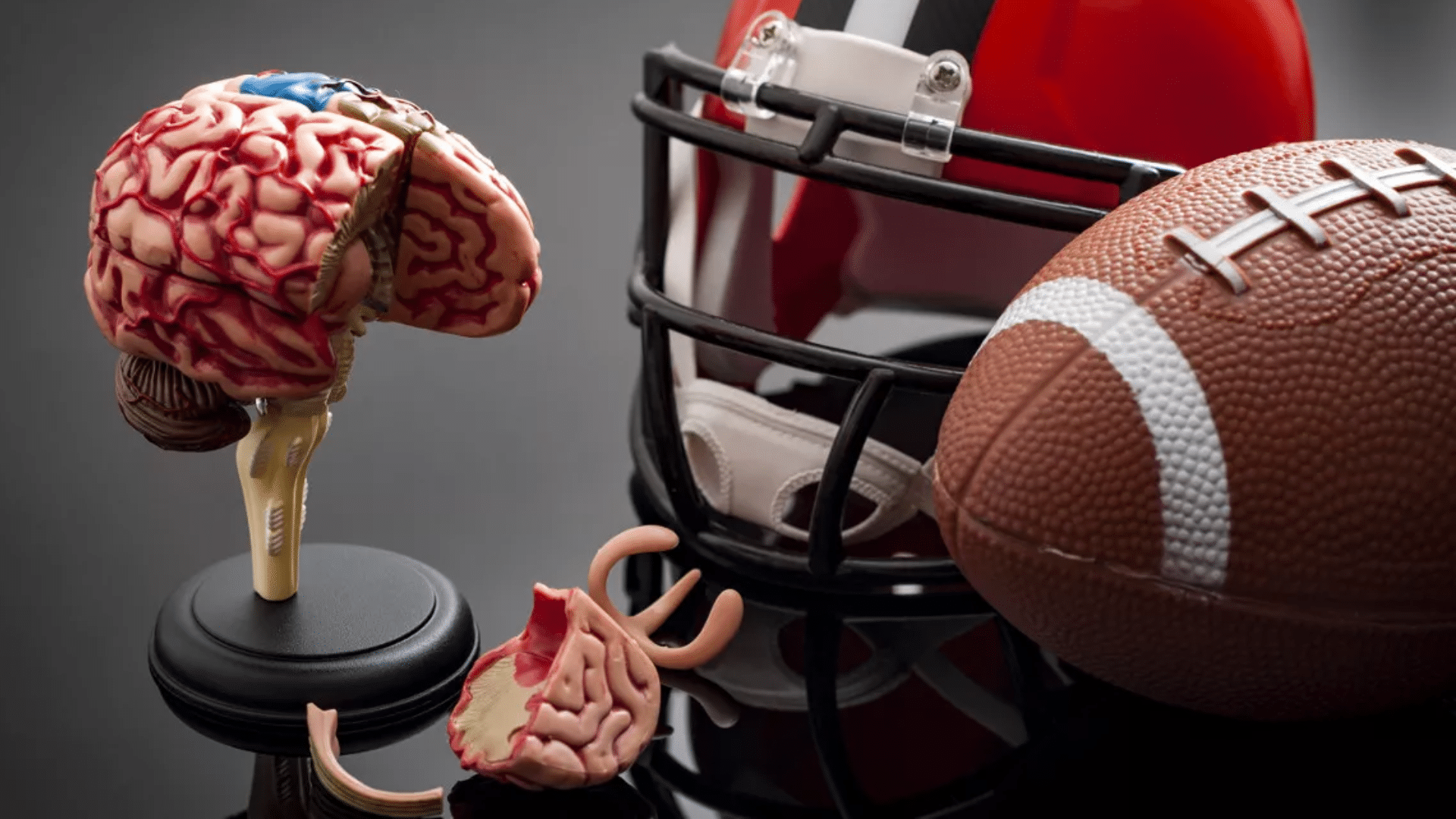 Endocannabinoids and Traumatic Brain Injuries