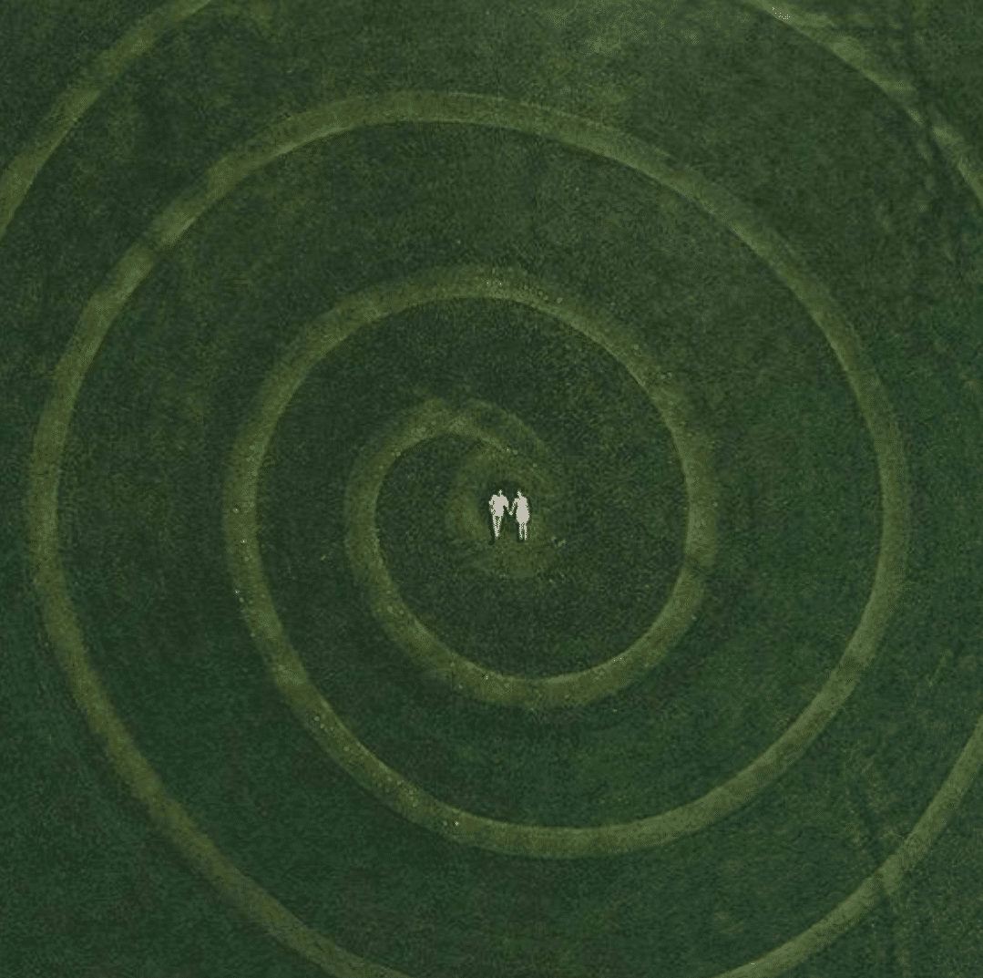 How far we've come: A History of Endocannabinoid Research