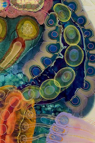 Better Metabolism with Cannabis?