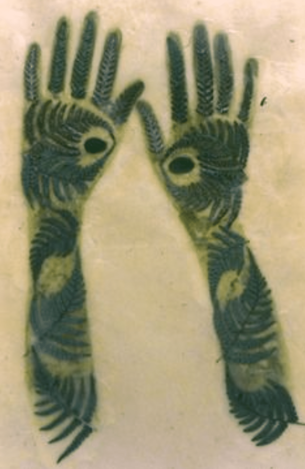 Whole Plant CBD More Effective Than Pure CBD?