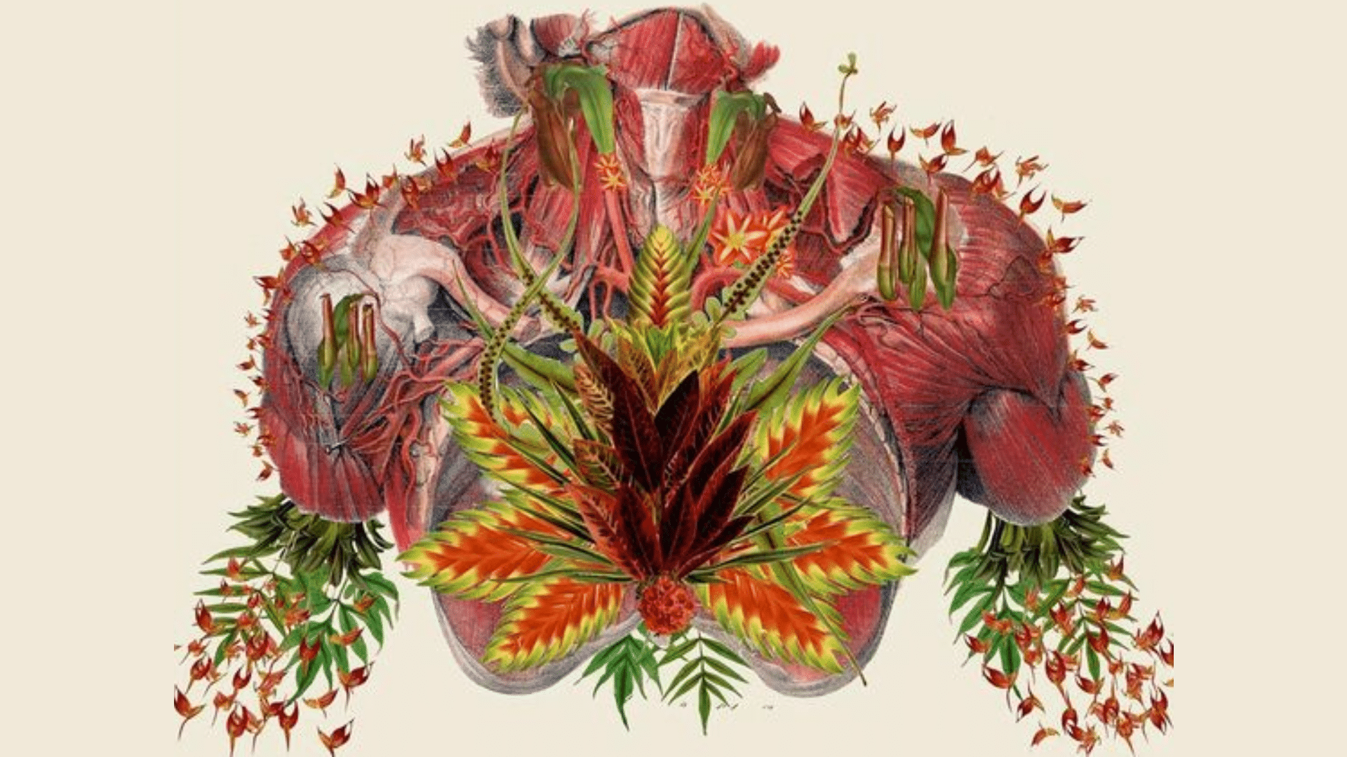 Inhibiting Re-Uptake To Enable Treatment: The Endocannabinoid System and New Medicines