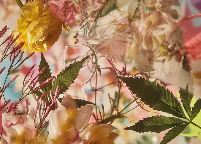 Allosteric Modulation: The Versatility of Cannabinoid Receptors