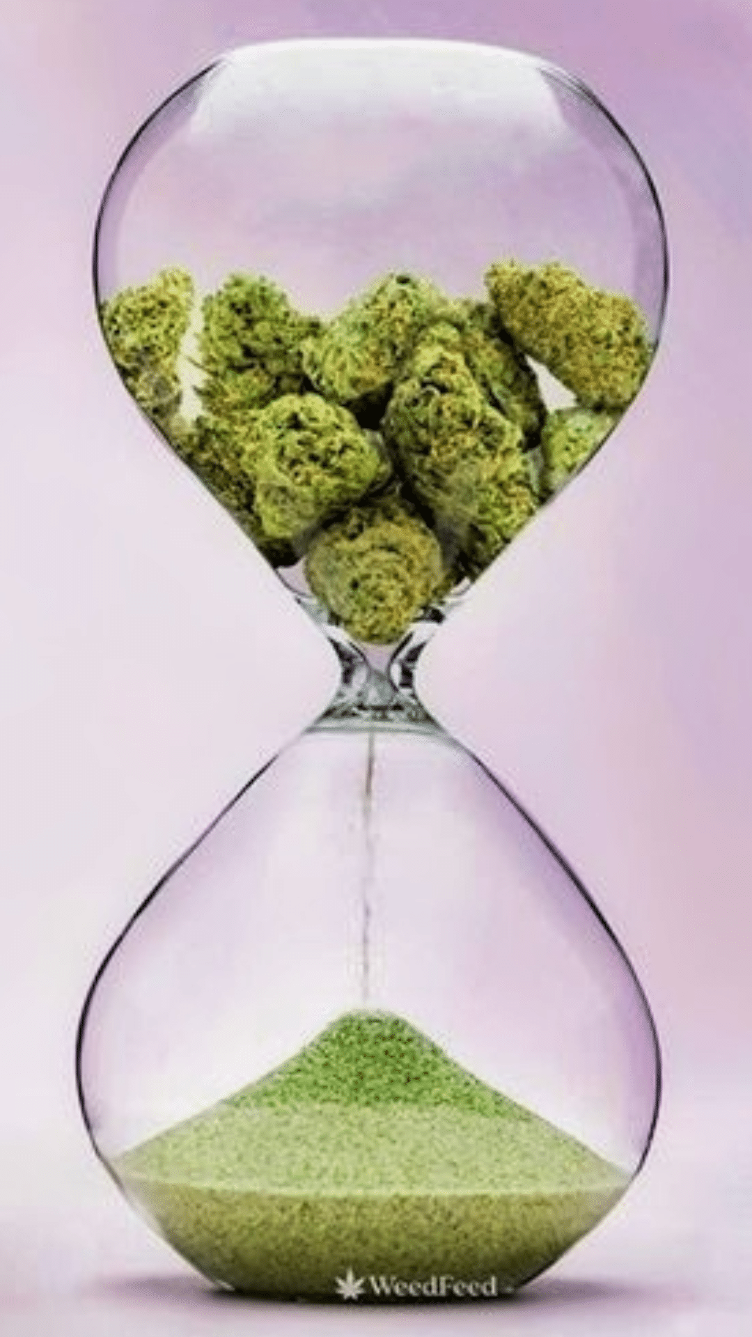 Alzheimer's Revisited: How Cannabis is Changing the State of Alzheimer's Medication