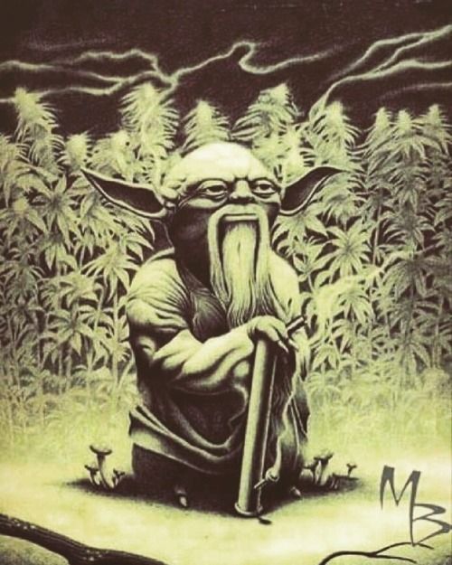 Is Cannabis Addictive?