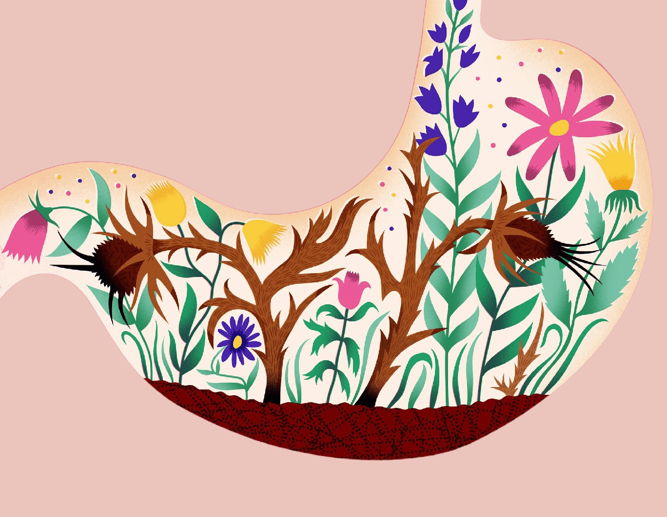 A Lot To "Digest": Cannabinoids in the Gastrointestinal System