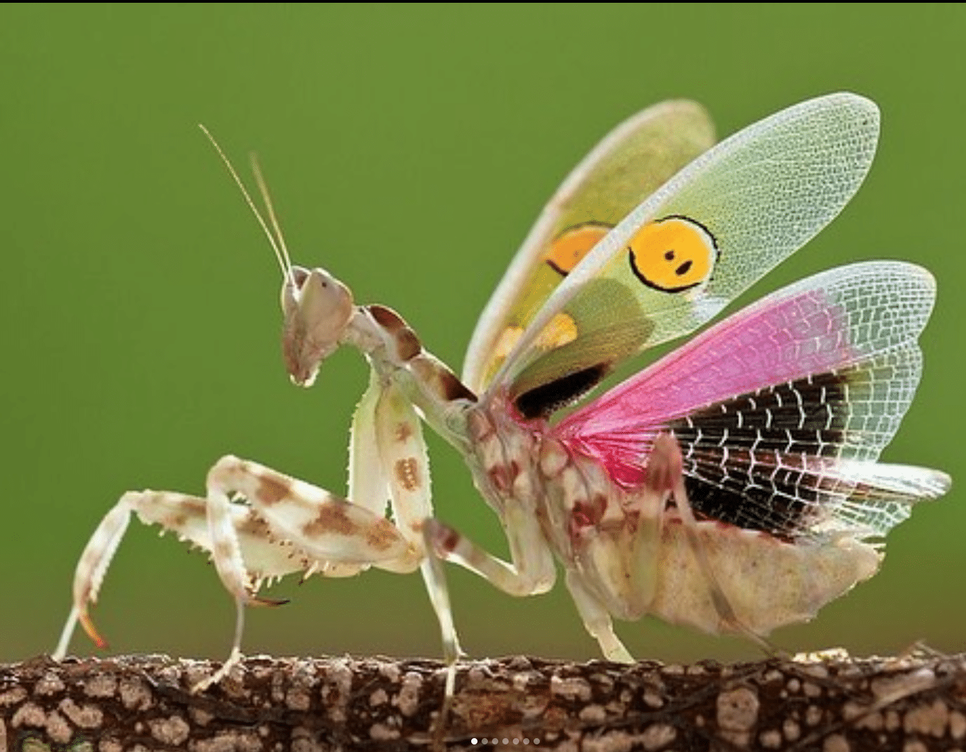 Cannabis And "Creativity"