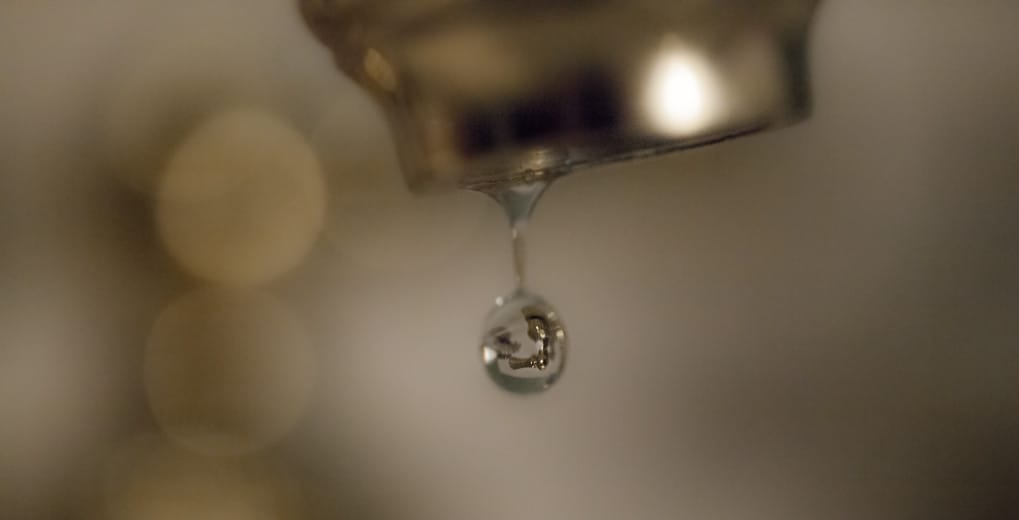 Better Bladder Health with Cannabis?