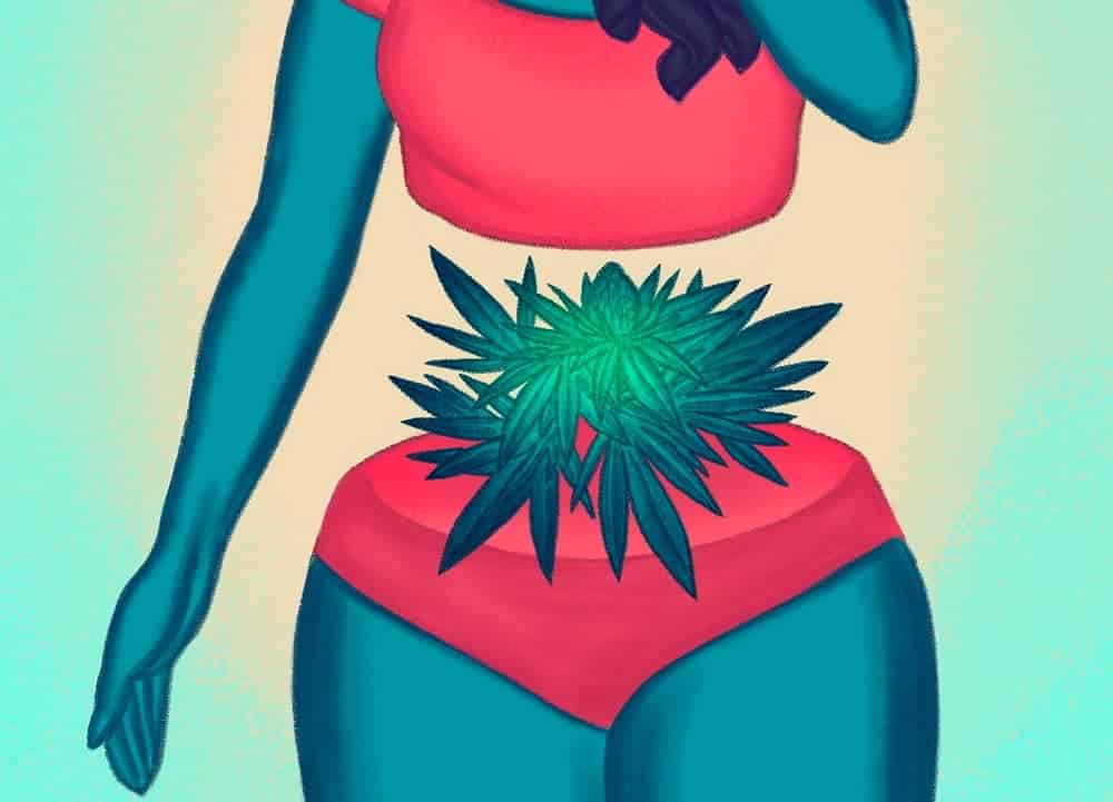 Cannabinoids as Weight Loss Drugs Part II