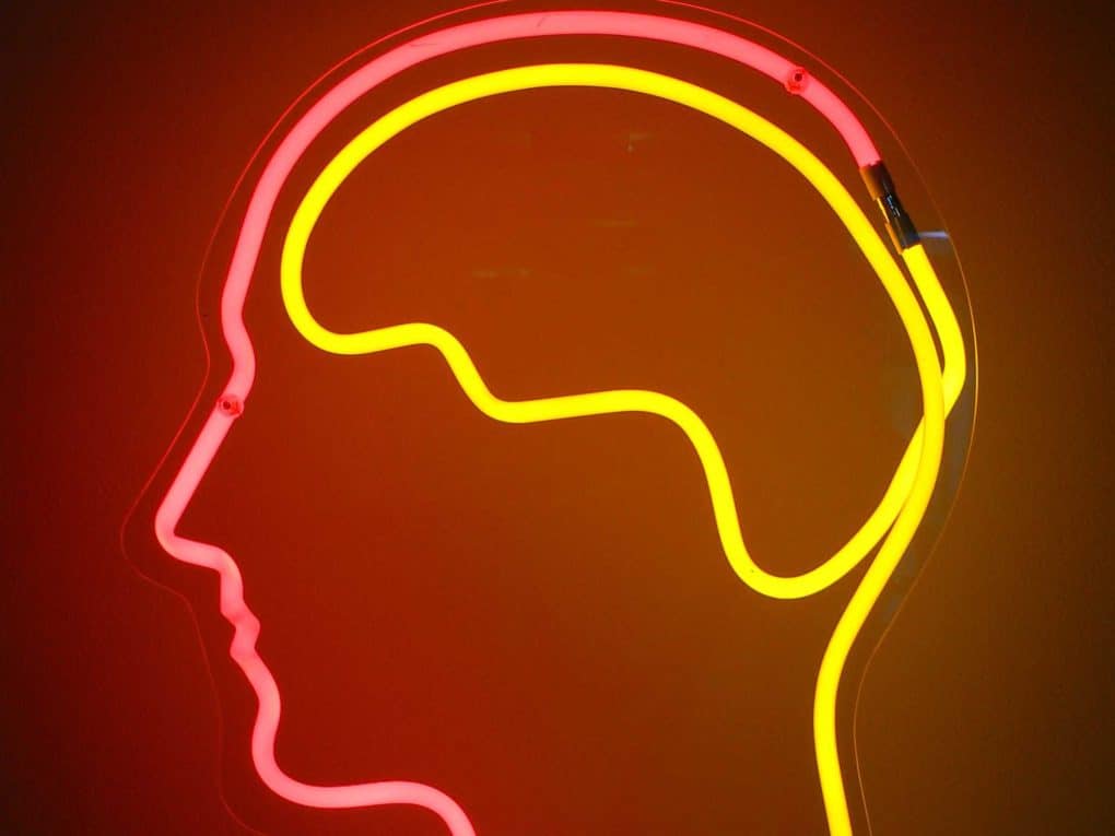 Emerging Neuroprotective Agents from Cannabinoids