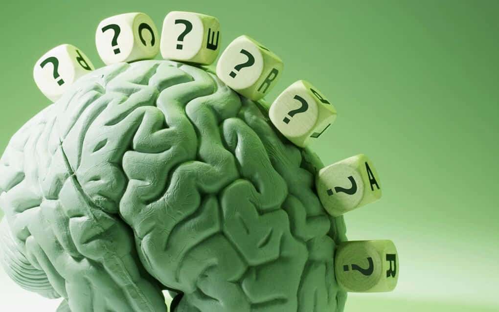 New Study Finds No Evidence of Long-term Damage from Daily Cannabis Use