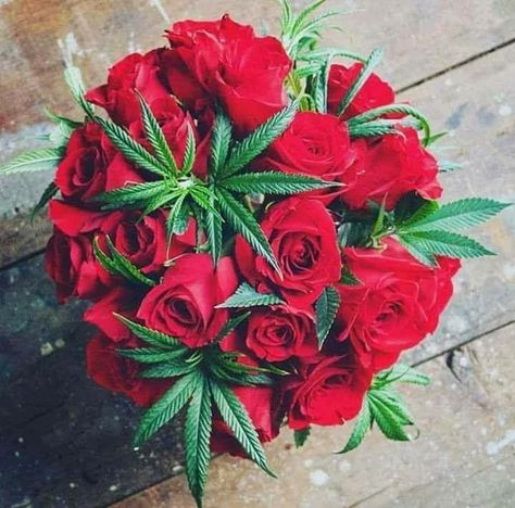 Cornerstone’s Top Cannabis Products for Your Cannabae