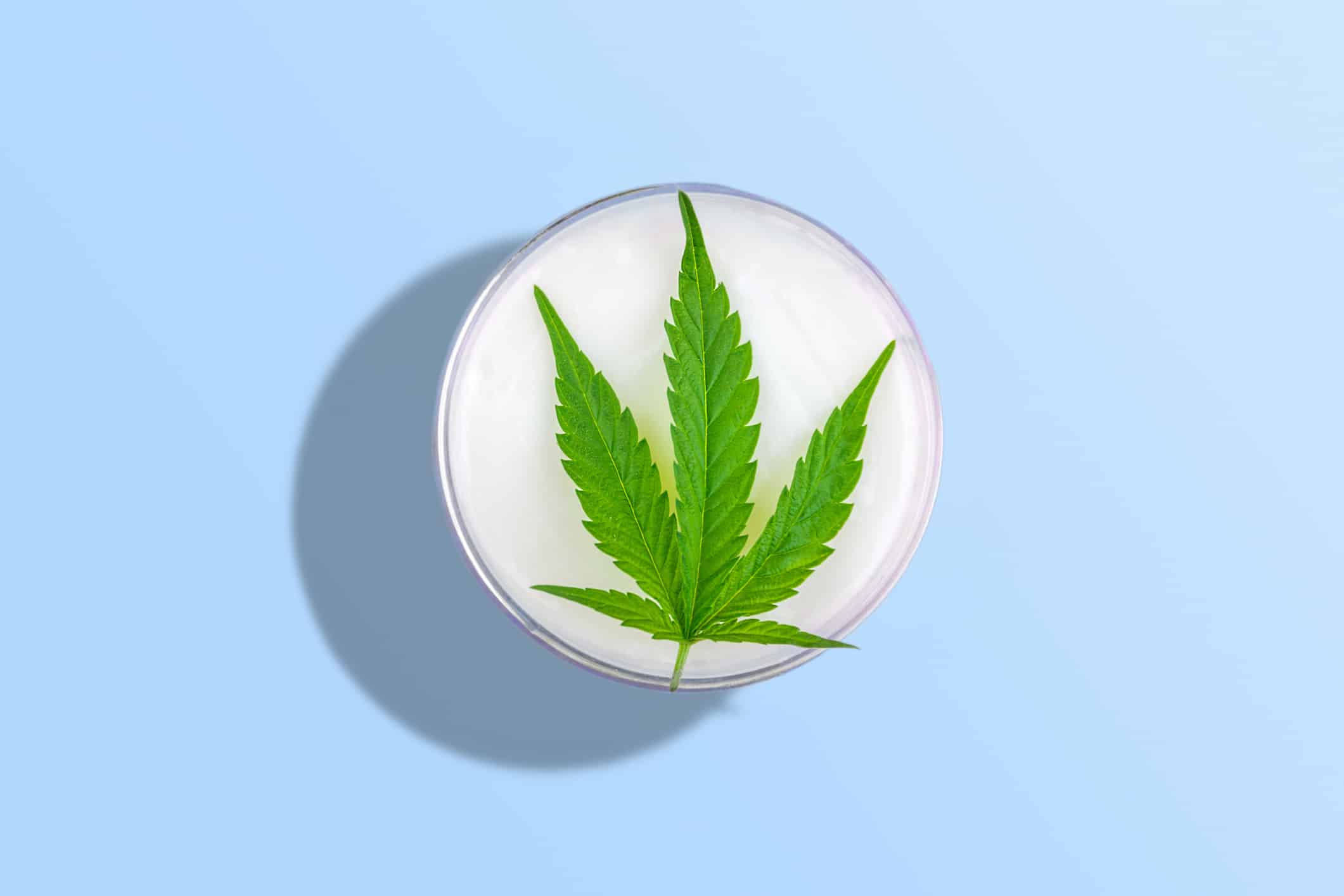 The Top 3 CBD Skincare Topicals to Use this Summer