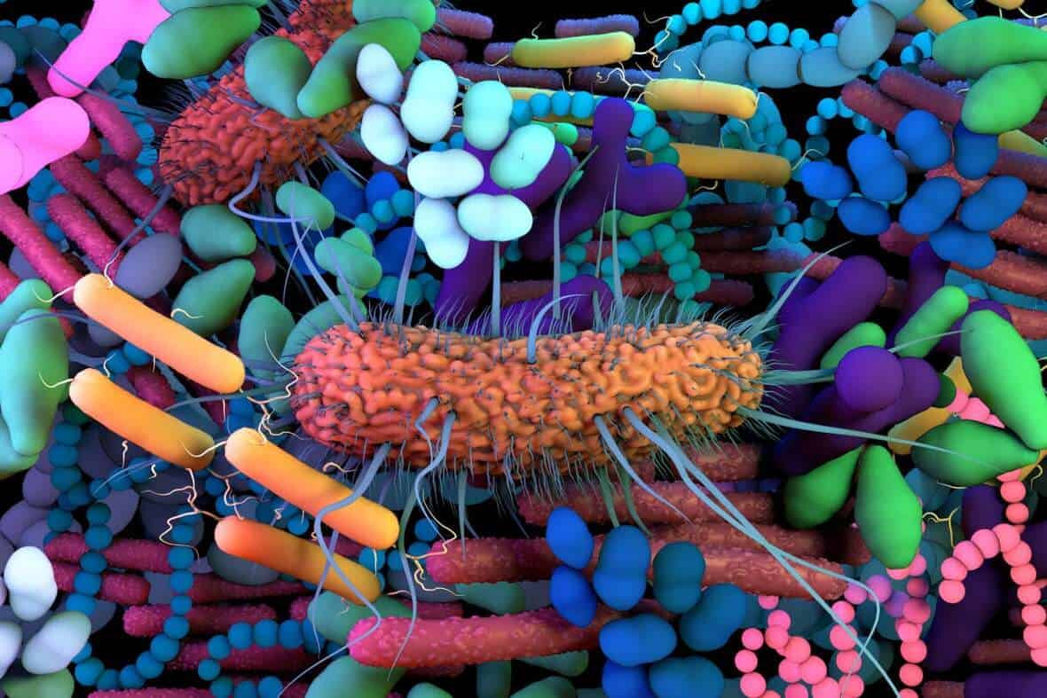 Cannabis and Gut Health: How Do They Work Together?