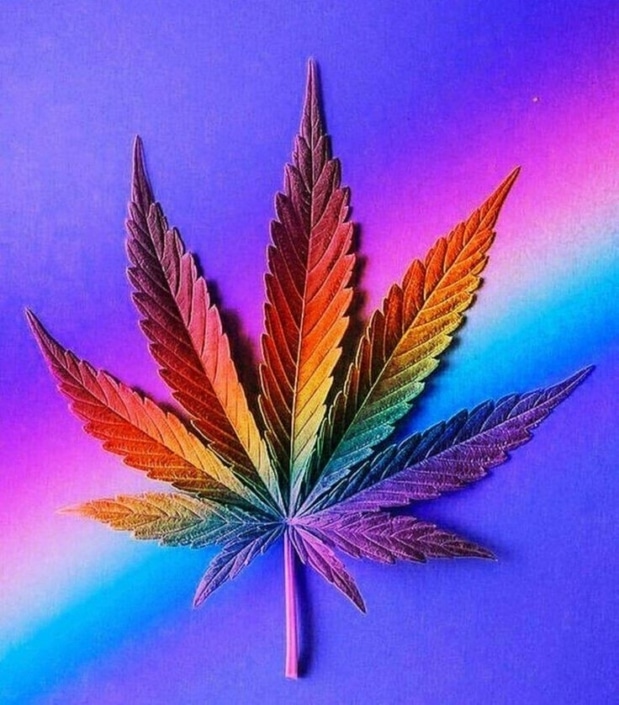 Celebrate Pride Month with These 4 Leading LGBTQIA+ Cannabis Brands