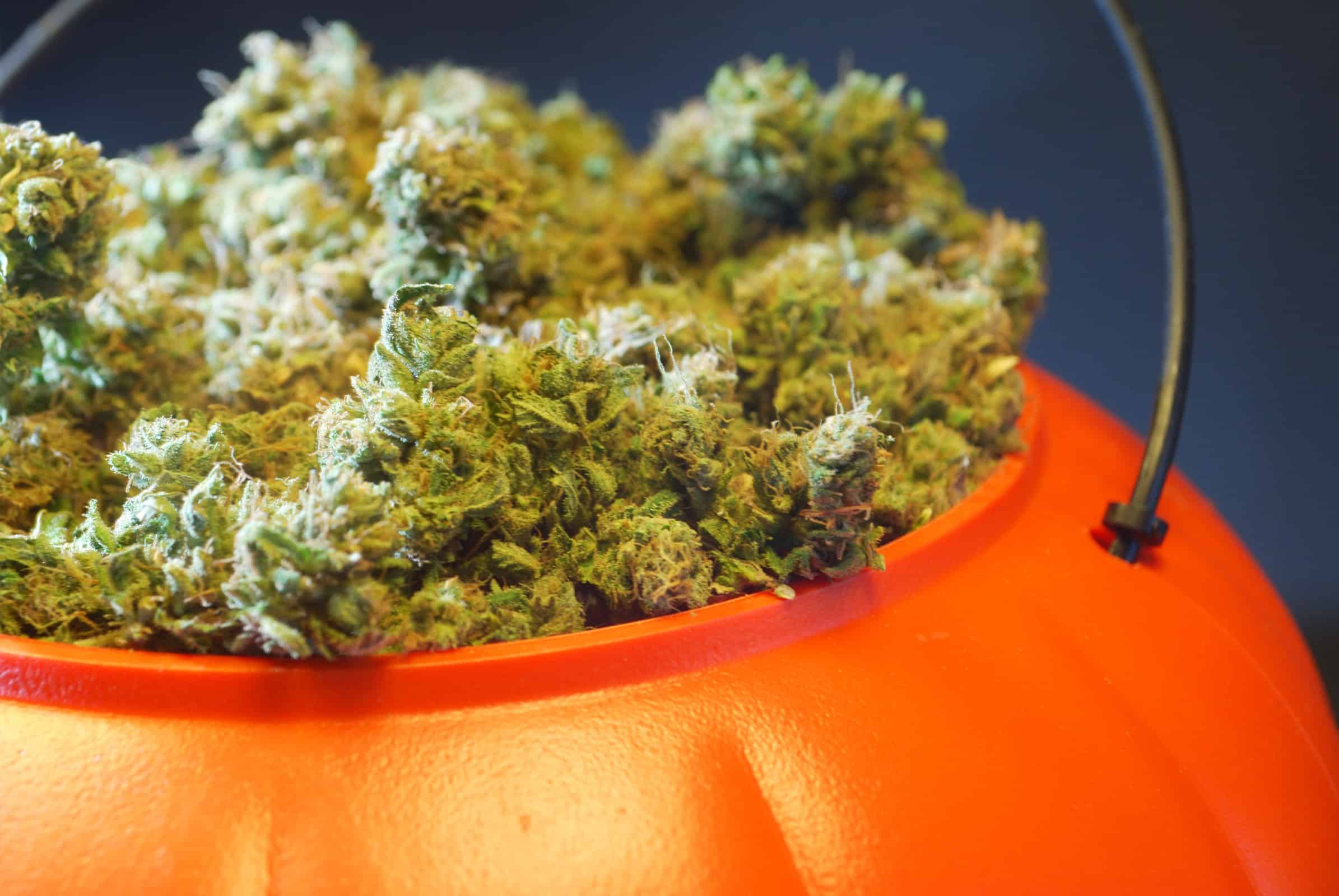 Kick off Spooky Season with These 3 Delightful Edibles