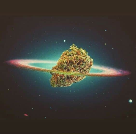 Unveiling the Therapeutic Potential of Medical Cannabis